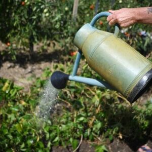 Gironde assoiffée : pelouses sèches, piscines interdites, les restrictions s’étendent