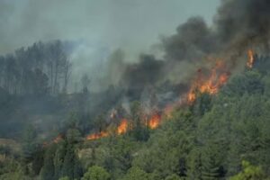 Incendie dans l’Aude : plus de 11 000 hectares brûlés, une femme décédée et des villages évacués