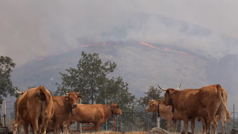 Incendies géants en Espagne : la fin de la canicule offre un répit et nourrit l’espoir