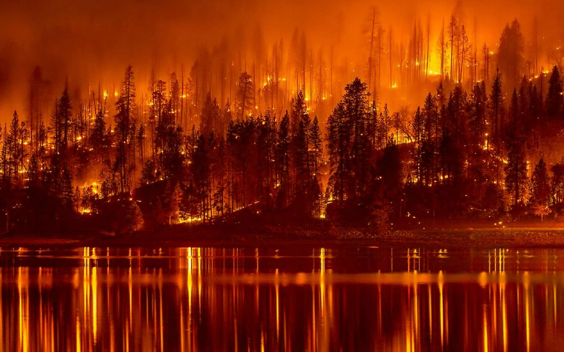 Incendies : la population mondiale de plus en plus exposée malgré des surfaces brûlées en recul