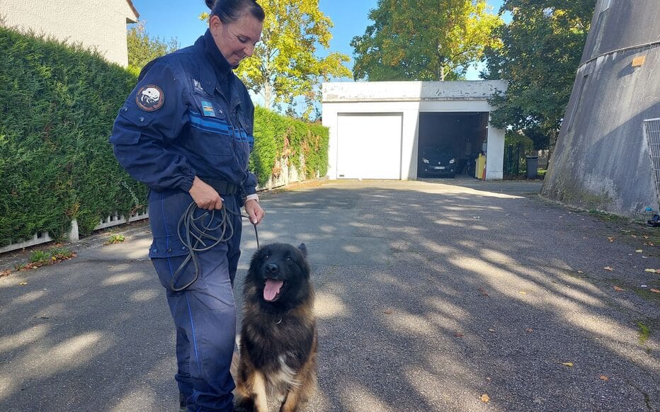 La Verrière : une policière décorée pour avoir désarmé une femme armée d’un couteau