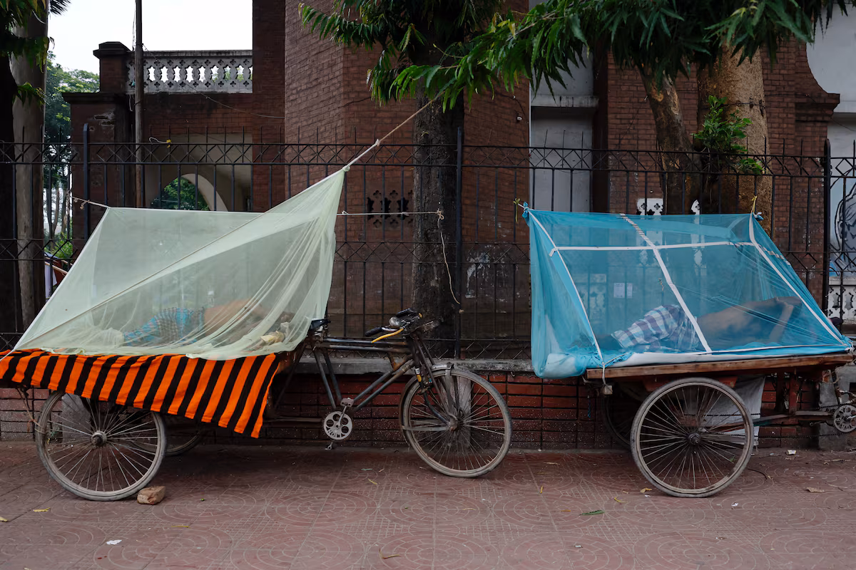 Le Bangladesh frappé par une flambée de dengue : plus de 100 morts et un mois d’août redouté