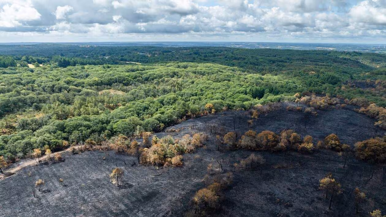 L’incendiaire présumé de Brocéliande écroué après ses aveux