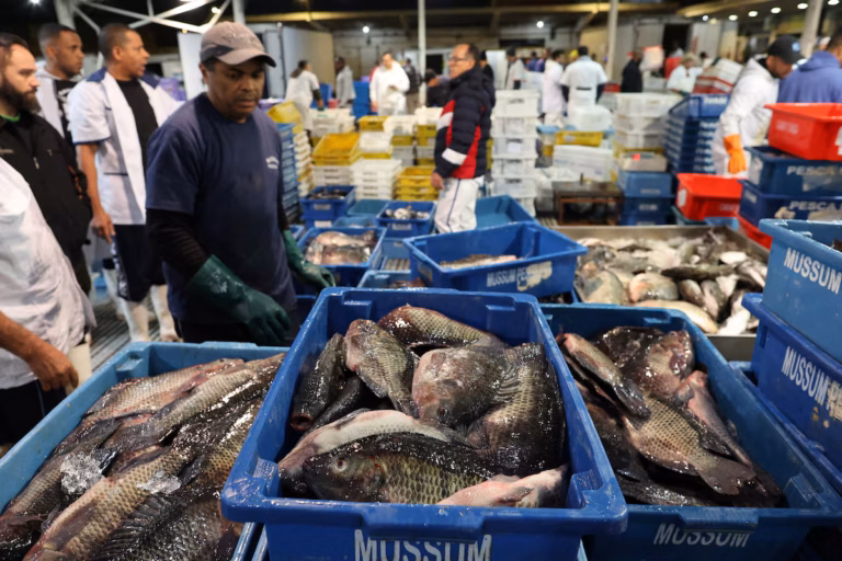 L'industrie de la pêche brésilienne au bord du naufrage face à une taxe douanière américaine de 50 %