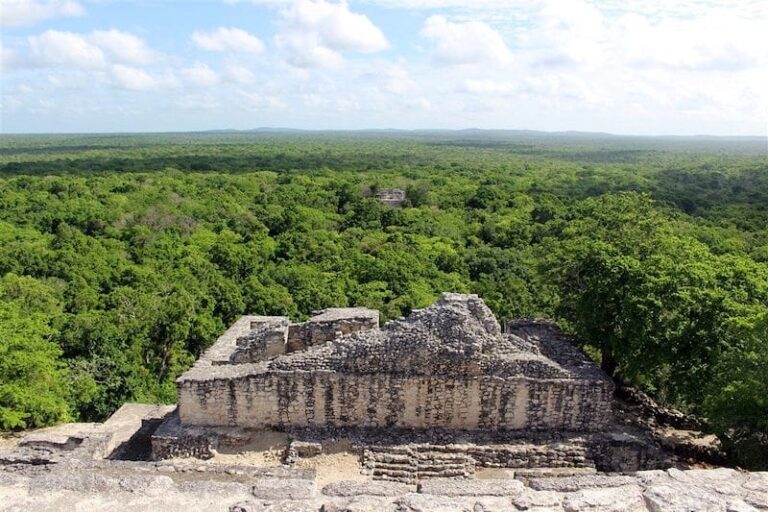 Mexique, Guatemala et Belize créent une immense réserve naturelle pour protéger la jungle maya