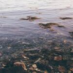 Oise : plainte après une fuite de « jus de déchets » dans la nature