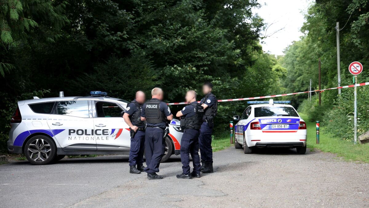 Pont-de-Metz : un inconnu égorgé et éviscéré, un tueur sans mobile arrêté