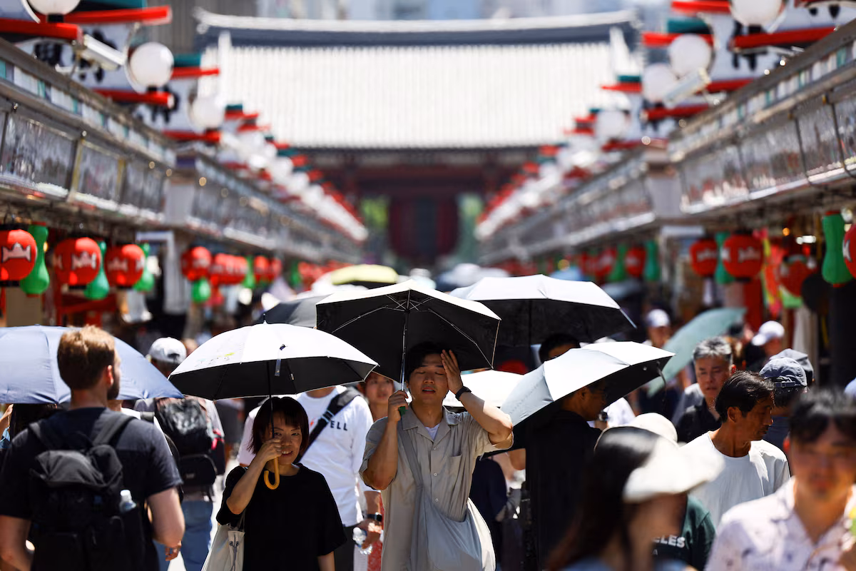 Record de chaleur au Japon : l’inquiétude grandit pour les cultures de riz