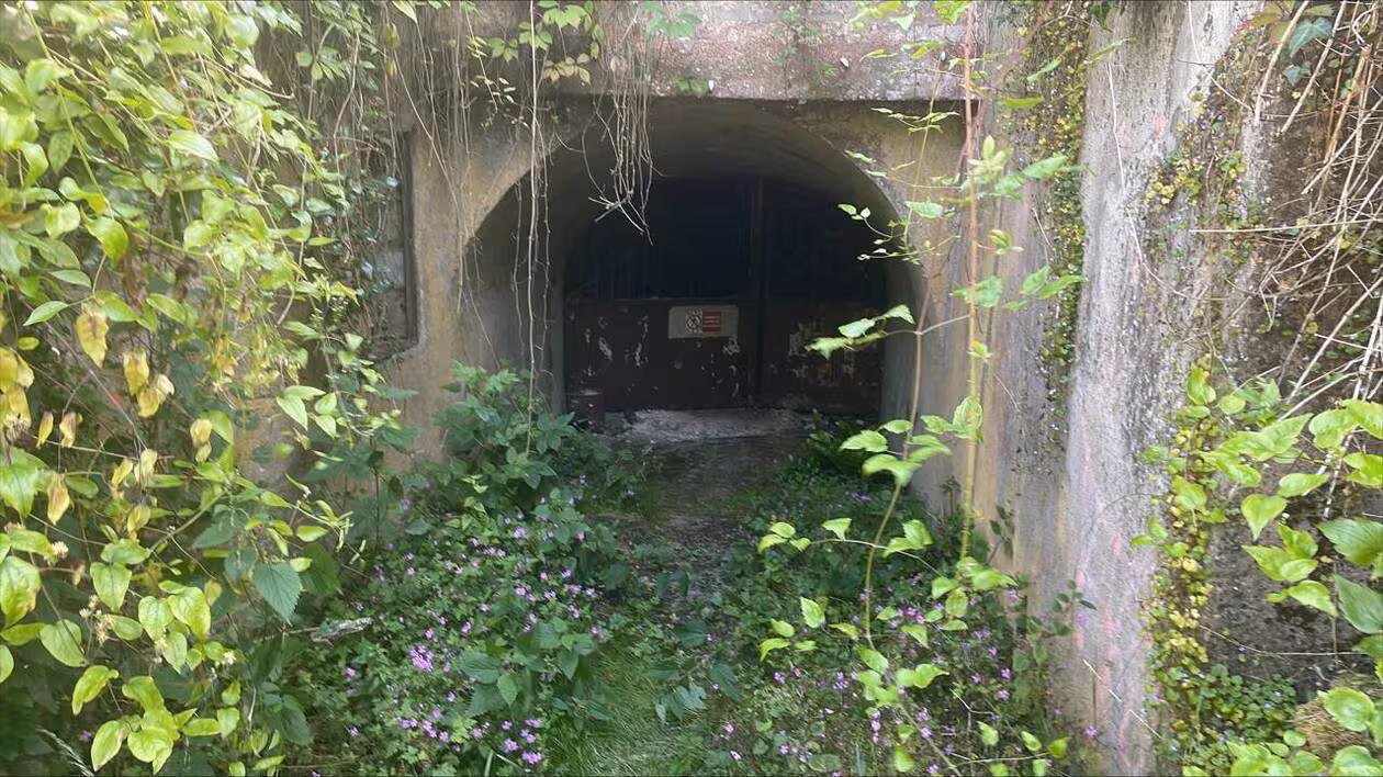 Saumur : des ossements découverts dans un troglodyte pourraient être humains