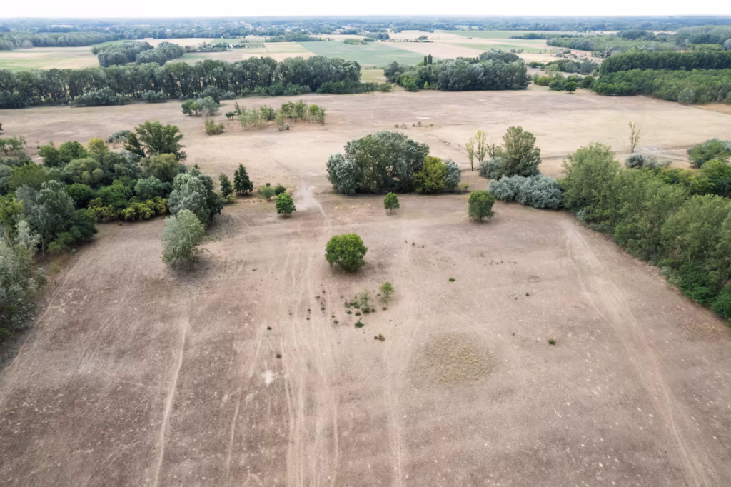 Sécheresse historique en Hongrie : des agriculteurs contraints d’envisager l’abandon de leurs terres