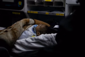 Suspension des visas américains pour les Gazaouis : une association alerte sur le sort des enfants blessés