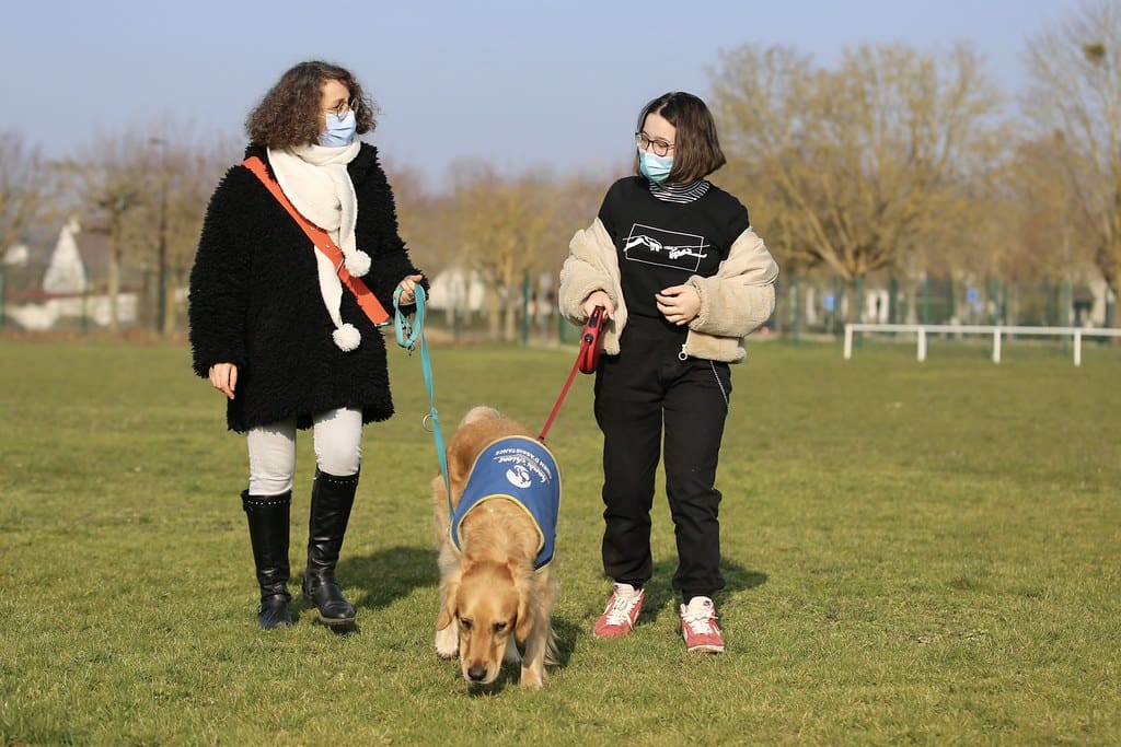 Toulon - un retraité malvoyant porte plainte après avoir été refoulé avec son chien guide @flickr