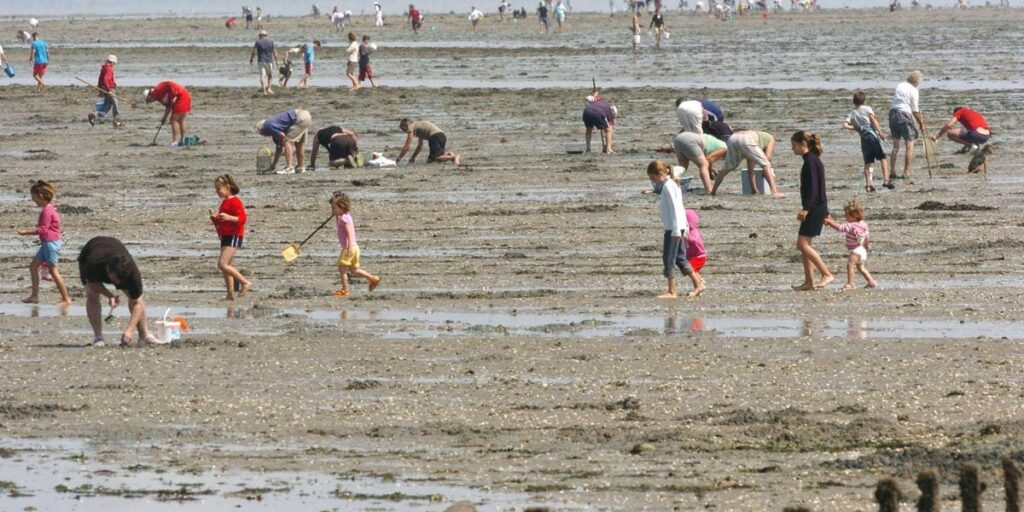 Vendée : onze personnes piégées par la marée et sauvées in extremis