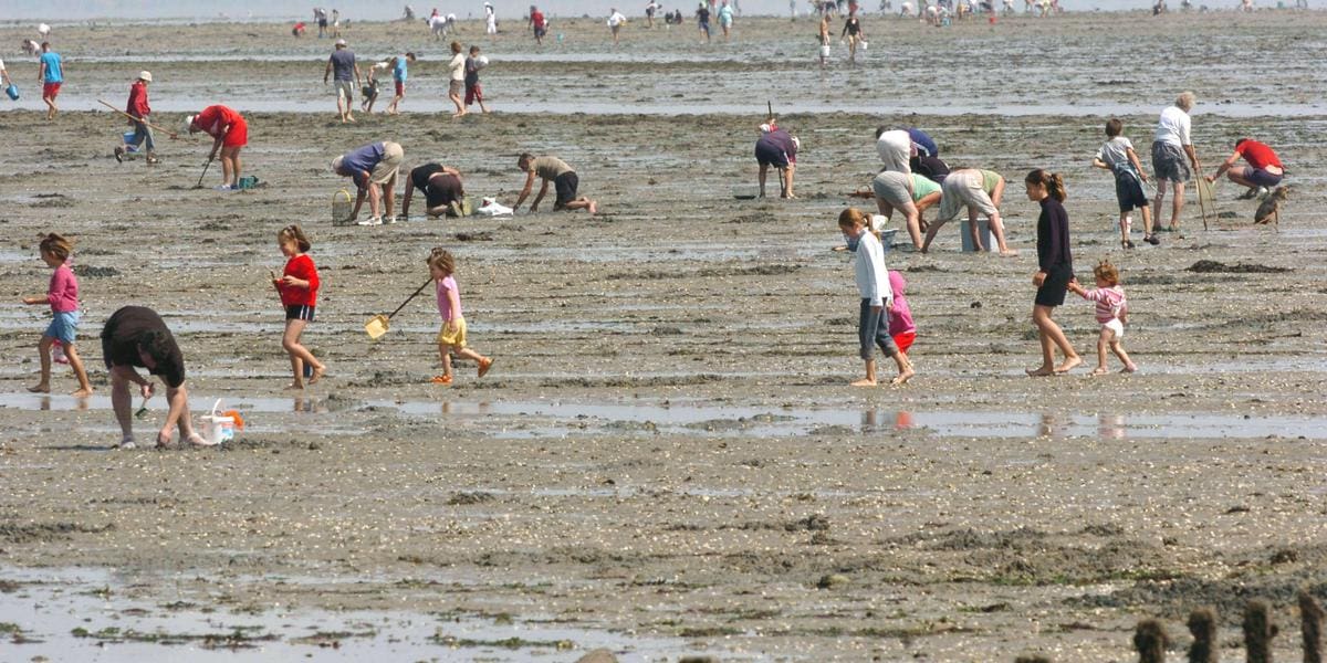 Vendée : onze personnes piégées par la marée et sauvées in extremis