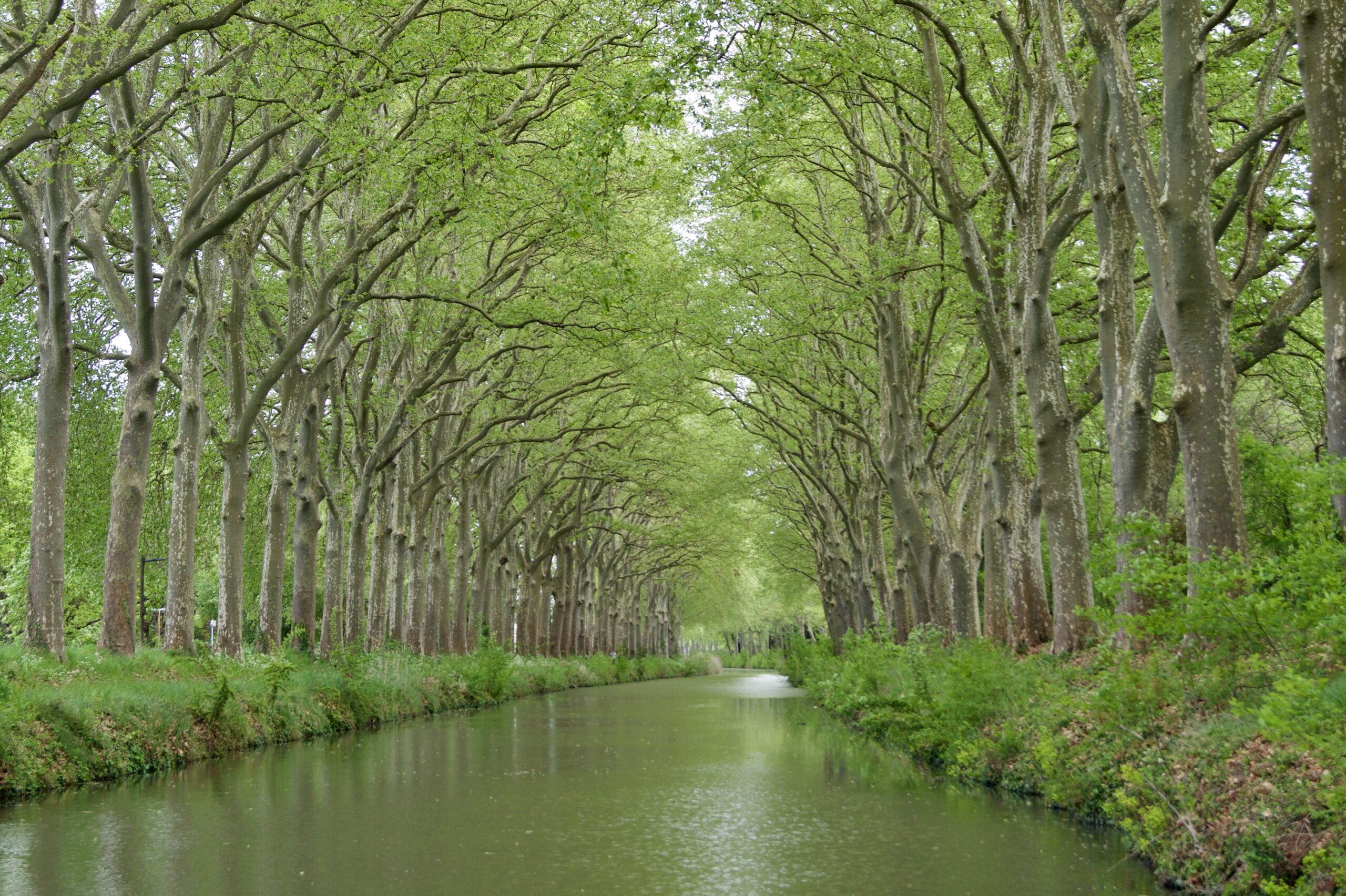 Vias : un corps retrouvé dans le canal du Midi, la piste criminelle privilégiée @wikipedia commons
