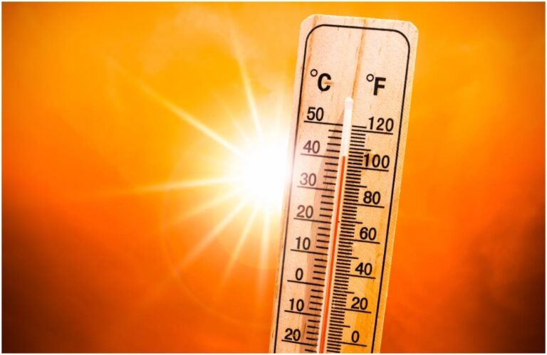 Canicule du 15 août : jusqu’à 41°C attendus dans le sud-ouest avant un répit dimanche