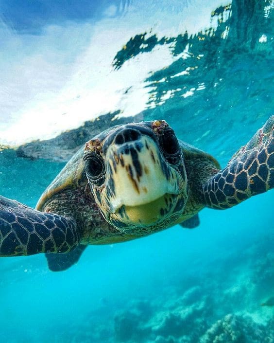 18E79D3F0D6760F38B9D3D60E58Ae531