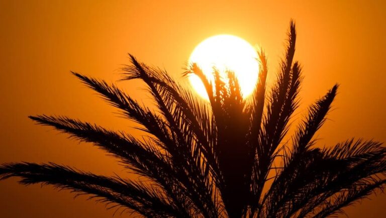 Canicule extrême : jusqu’à 43°C attendus ce lundi en France