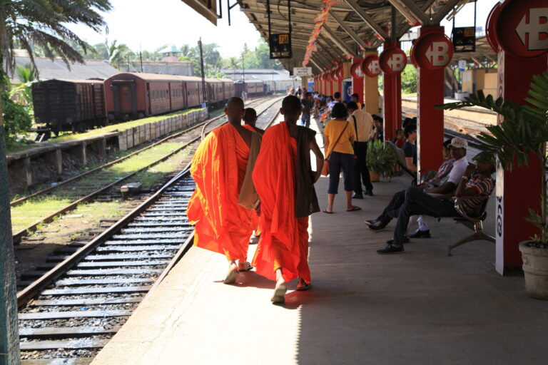 REPORTAGE - À la découverte du Sri Lanka, la "larme de l'Inde", temple du bouddhisme et joyau de l’Asie du Sud