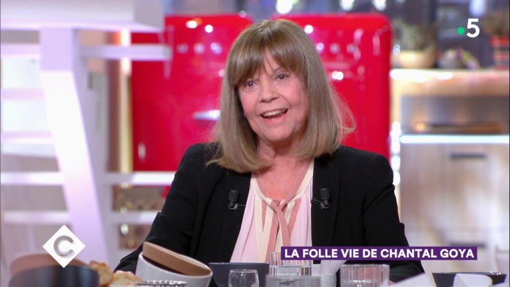Chantal Goya et son mari Jean-Jacques Debout condamnés à verser 2,18 millions d’euros au Crédit municipal de Bordeaux. (Capture d'écran France 5)