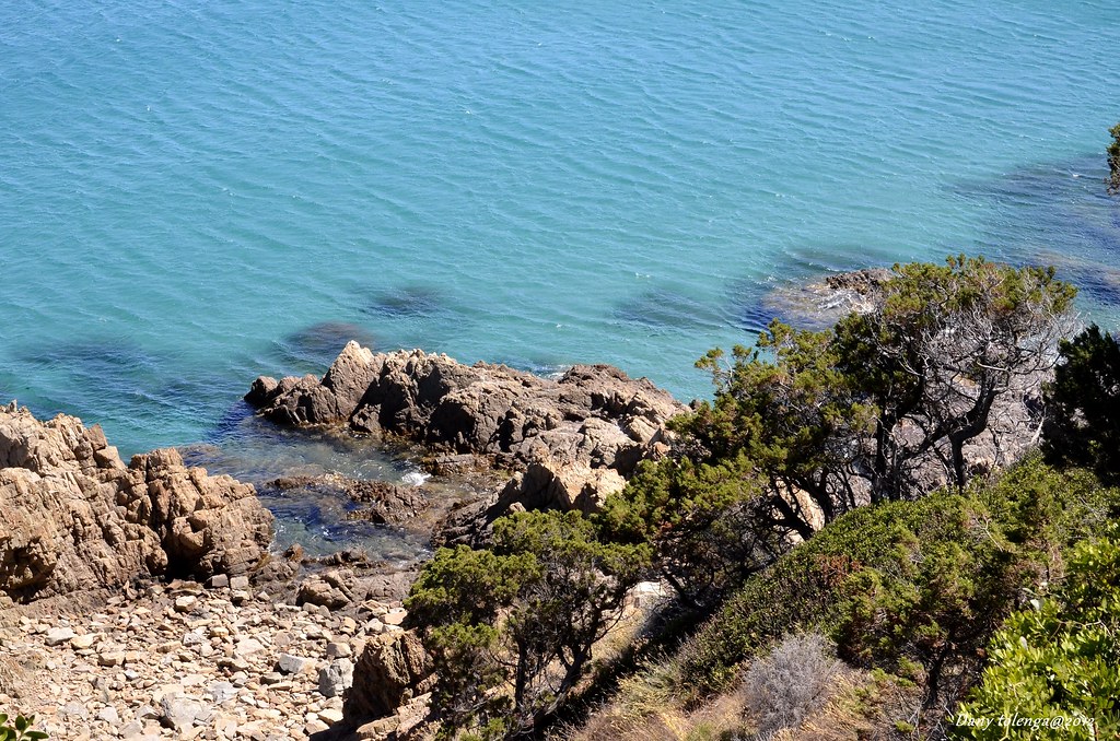 Août 2025, troisième mois d’août le plus chaud jamais mesuré dans le monde