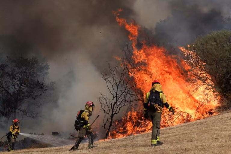 En Espagne, les incendies estivaux ravivent le débat sur la gestion des forêts