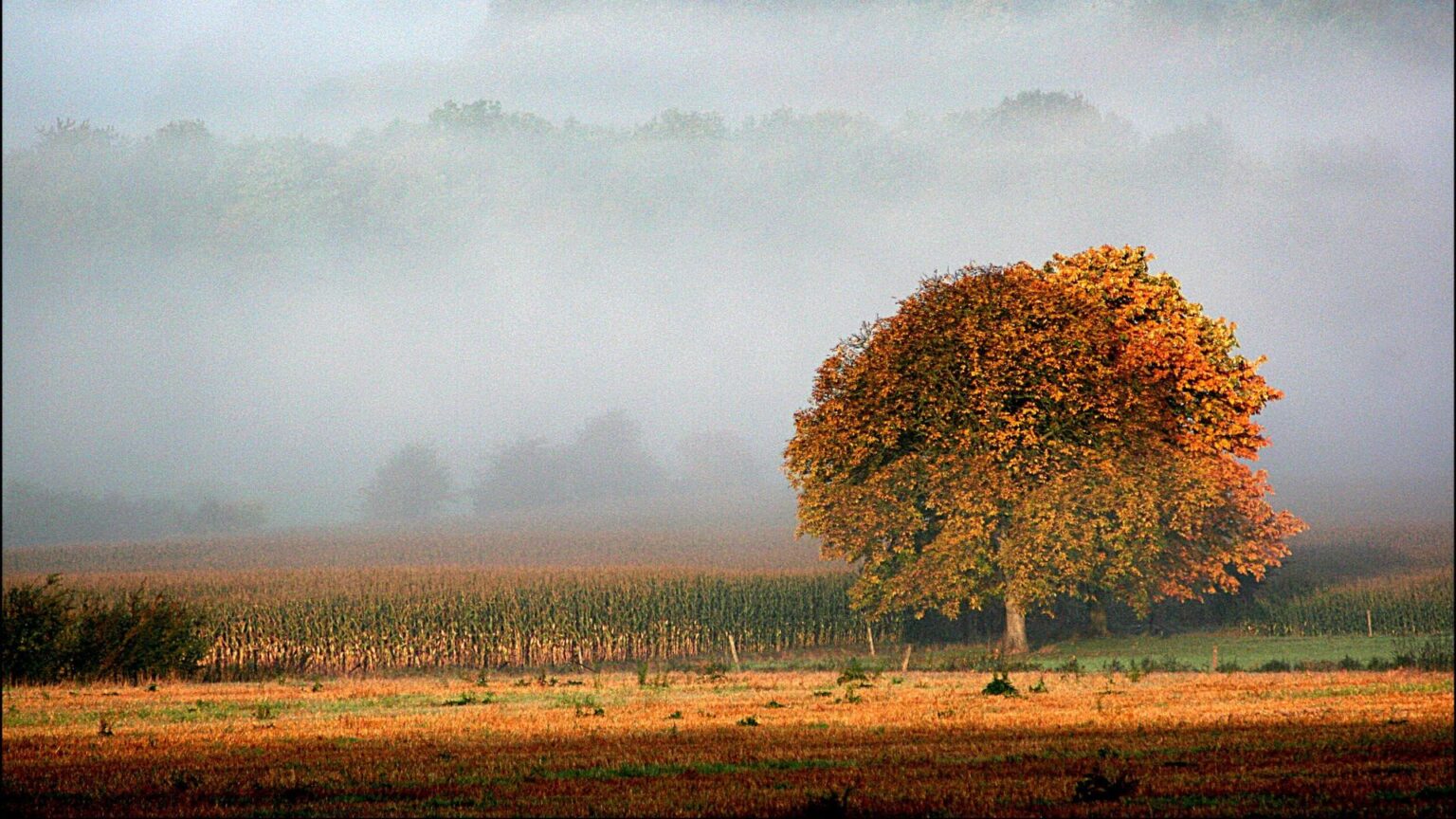 Vendredi 12 septembre : ambiance automnale au nord, soleil au sud