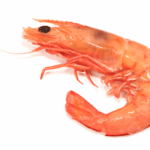 Indonésie - un site industriel suspecté d’être à l’origine d’une contamination radioactive de crevettes exportées @wikipedia commons