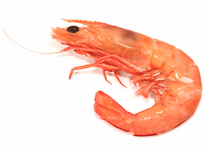 Indonésie - un site industriel suspecté d’être à l’origine d’une contamination radioactive de crevettes exportées @wikipedia commons