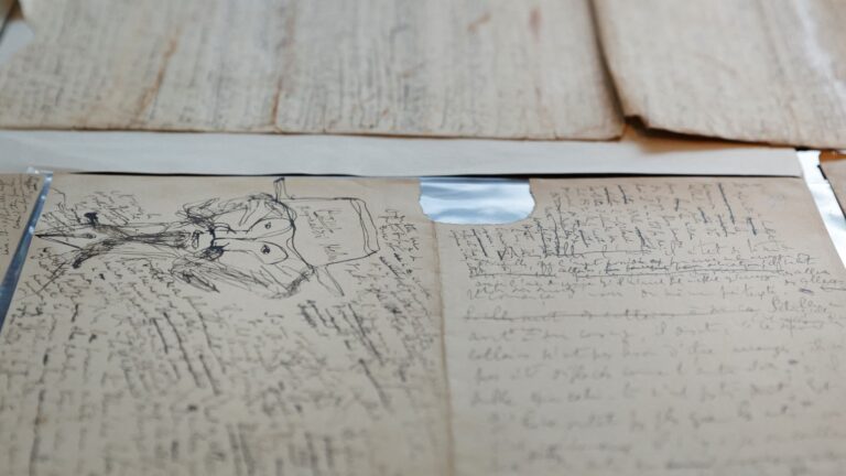 La BNF veut sauver 900 manuscrits inédits de Proust, dont la vraie madeleine