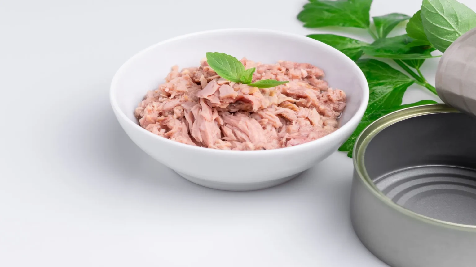 Mont-de-Marsan bannit le thon des cantines, le mercure reste sur le banc des accusés @Malin