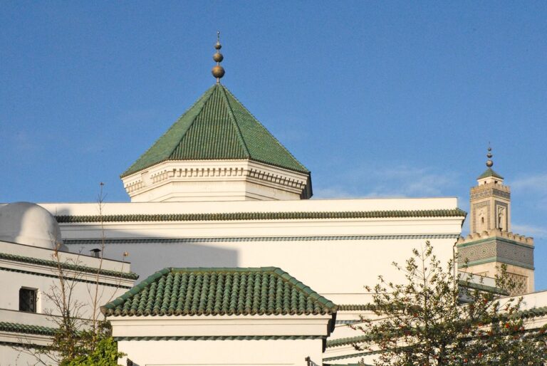 Montreuil - un homme filmé déposant une tête de cochon devant une mosquée @Flickr