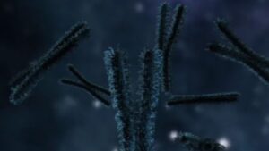 Trisomie 21 - une équipe japonaise réussit à supprimer le chromosome excédentaire