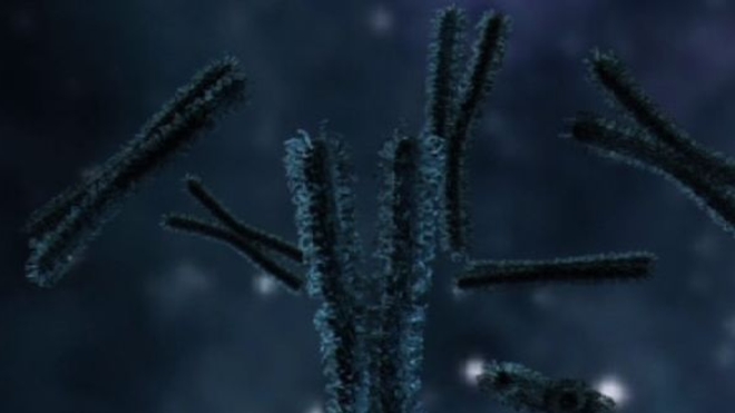 Trisomie 21 - une équipe japonaise réussit à supprimer le chromosome excédentaire