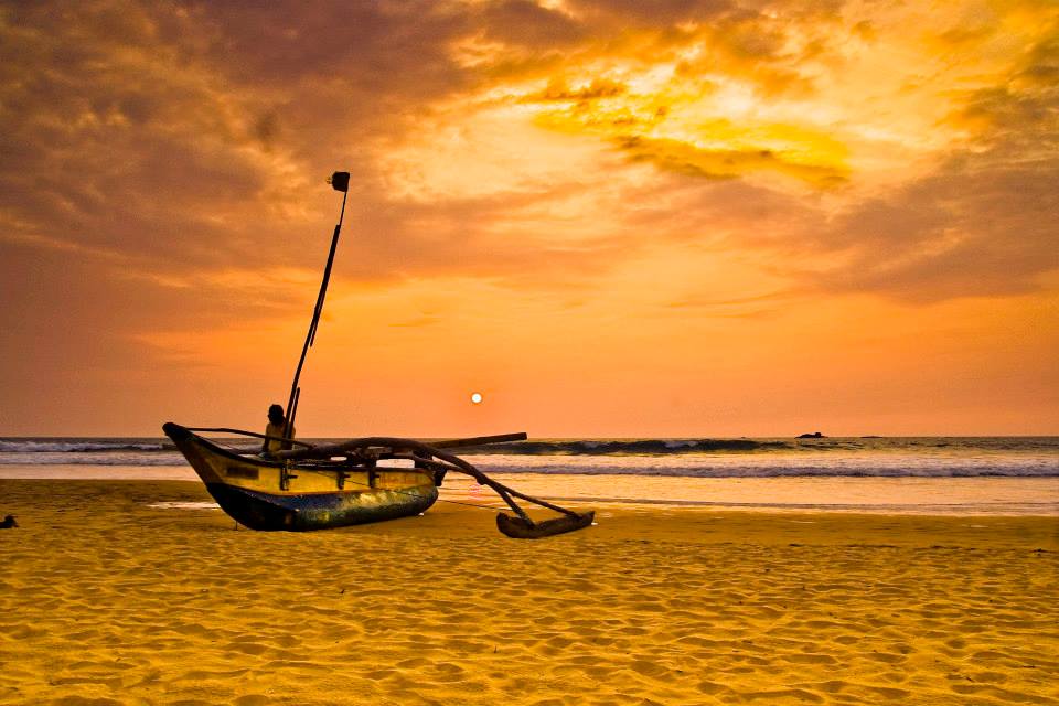 969025_10151701902488223_999065047_N