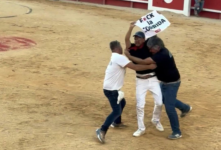 VIDÉO - Jeremstar saute dans l'arène pour lutter contre la corrida, lors de la Feria de Nîmes, et part en garde à vue
