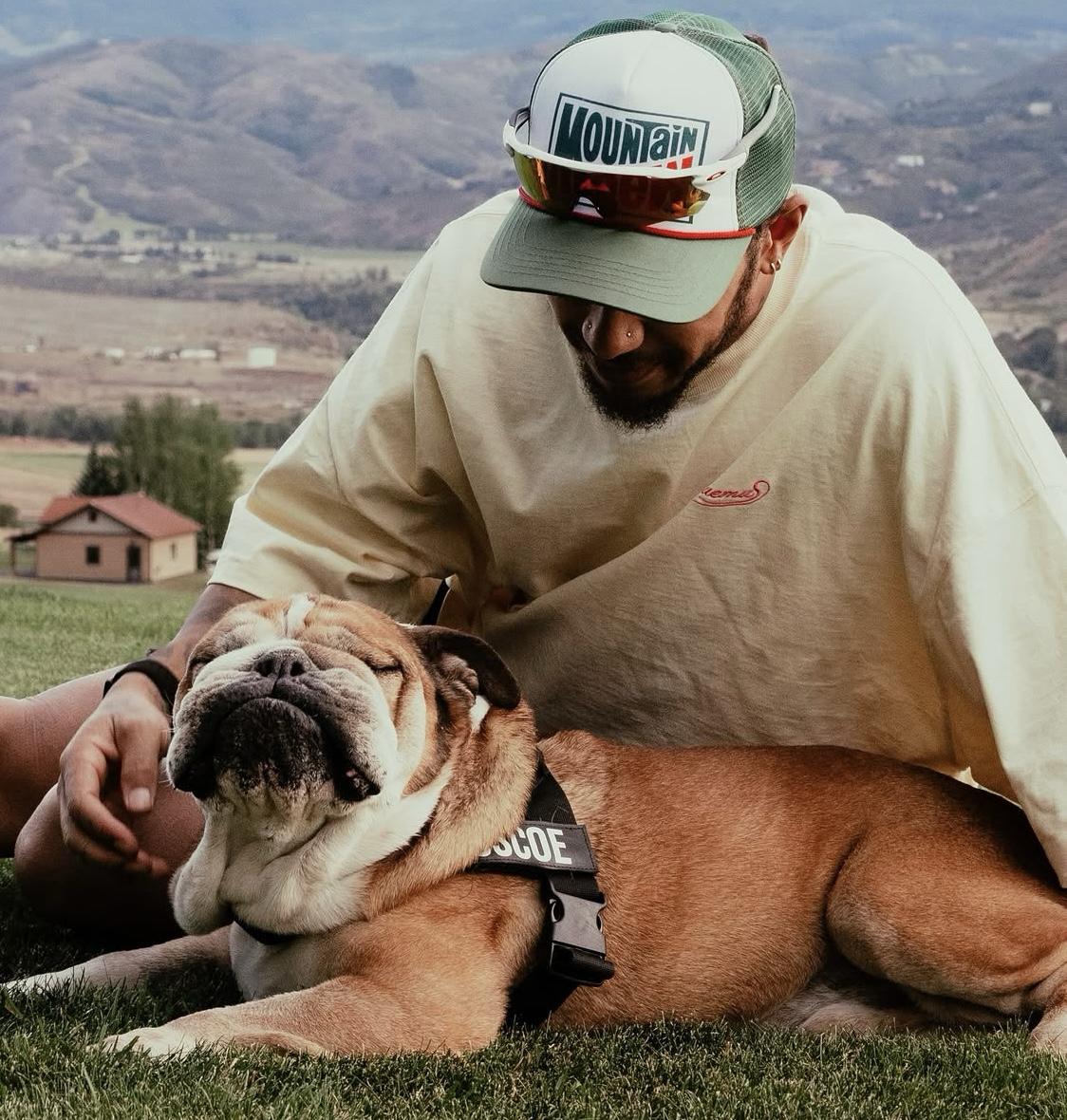 — Roscoe, Un Chien Star — Roscoe, Un Chien Star