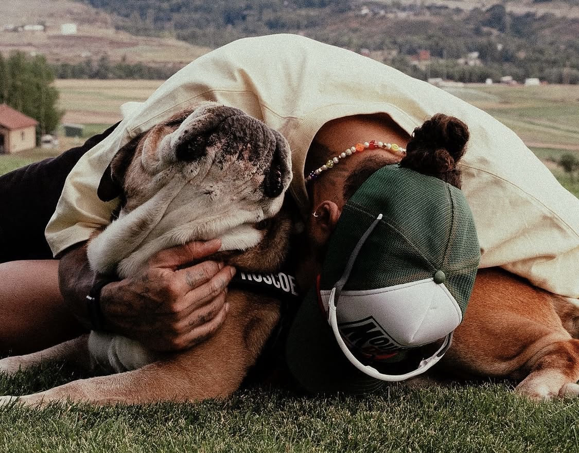 Lewis Hamilton annonce la mort de son chien Roscoe: «J’ai dû prendre la décision la plus difficile de ma vie.»