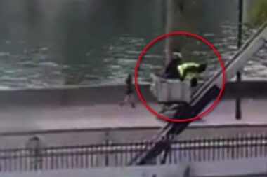 Découvrez la vidéo hallucinante de la fuite des cambrioleurs du musée du Louvre juste après le vol. (DR)