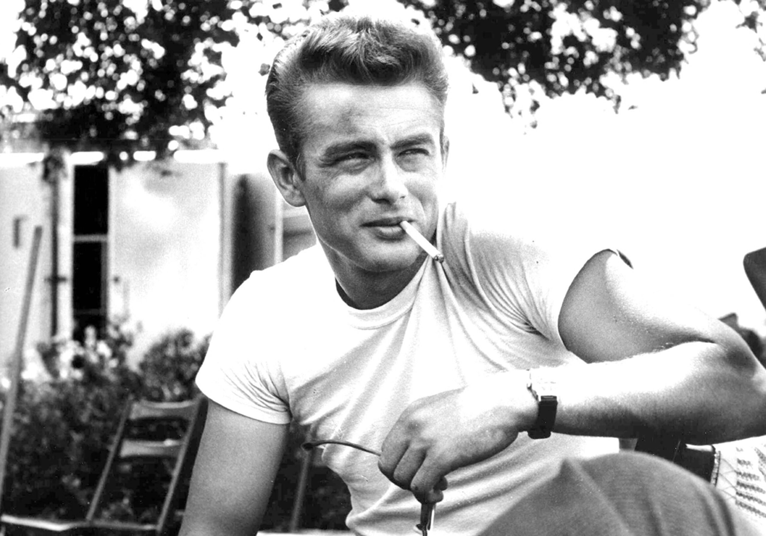 James Dean 24 Ans