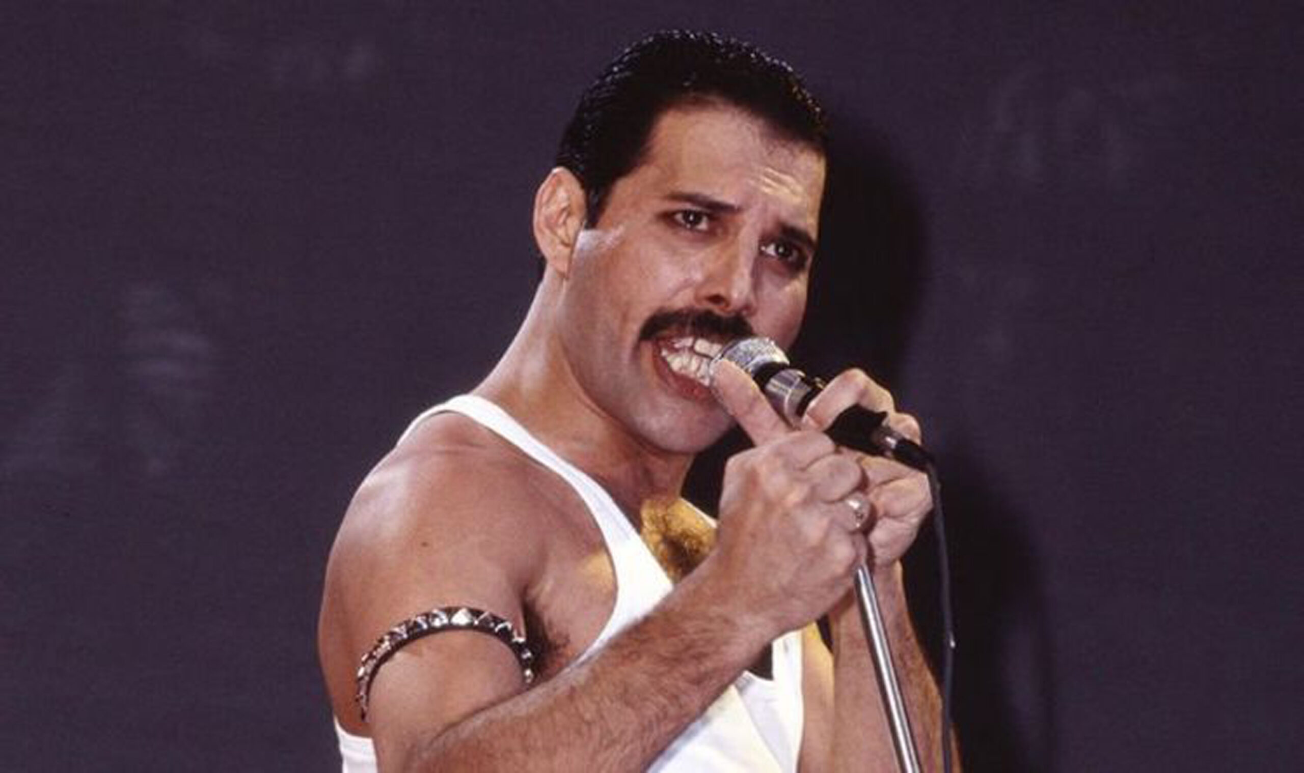 Freddie Mercury 45 Ans