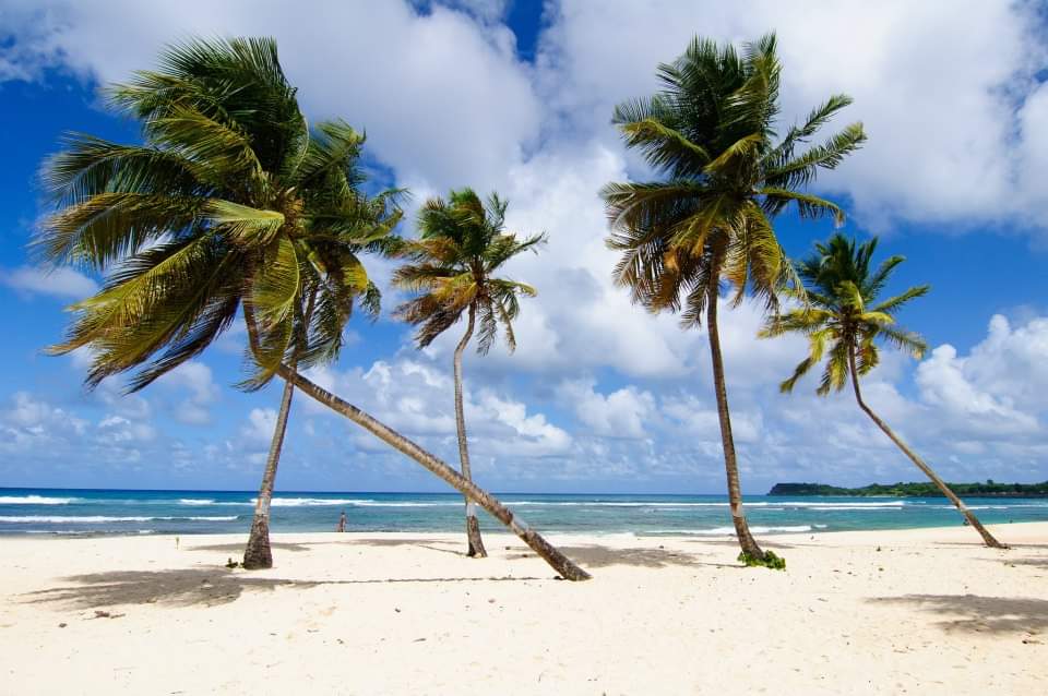 Fb_Img_1616881608154 Copie