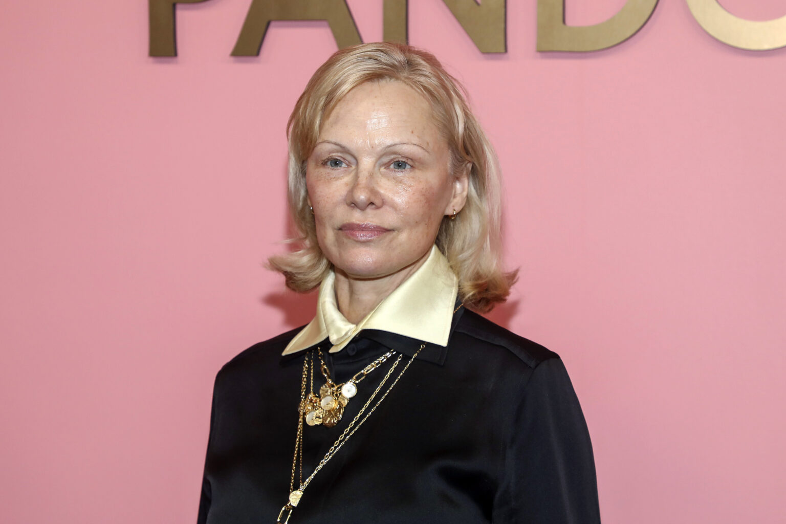 Le saviez-vous ? Découvrez la terrible raison pour laquelle Pamela Anderson a décidé de ne plus jamais se maquiller. (AP/Andy Kropa)