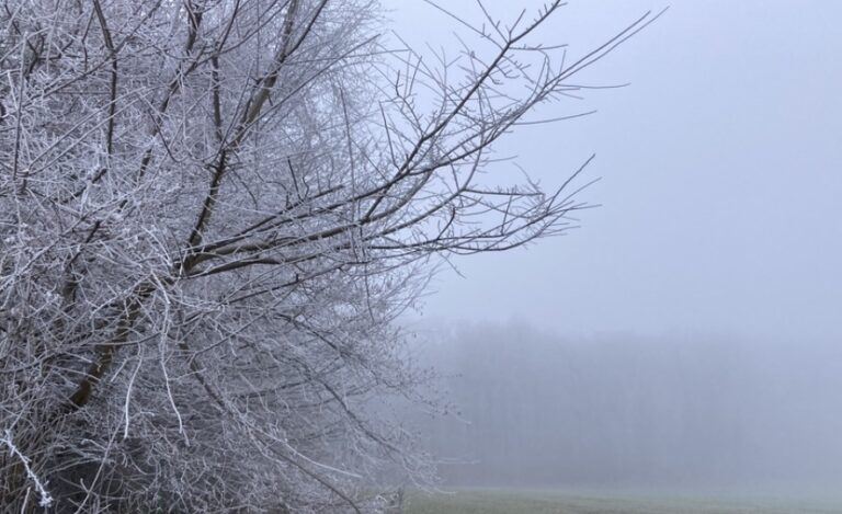 Un samedi d’automne froid et humide