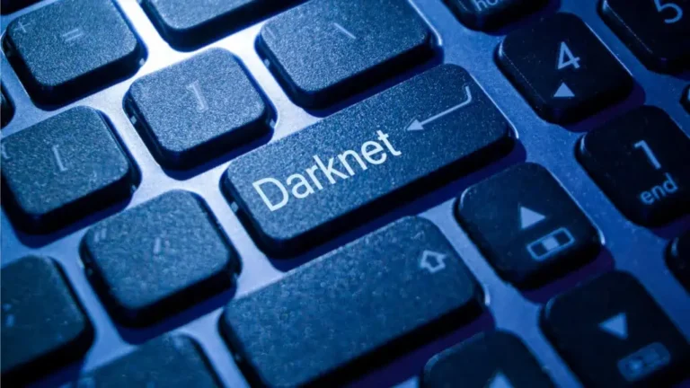 Darknet français - démantèlement d’une place forte à Paris, 10 000 cybercriminels au tapis
