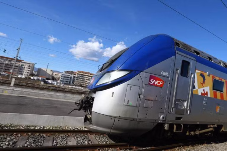 Haute-Savoie - un TER a percuté une quinzaine de vaches, le trafic a été interrompu entre Annecy et Annemasse