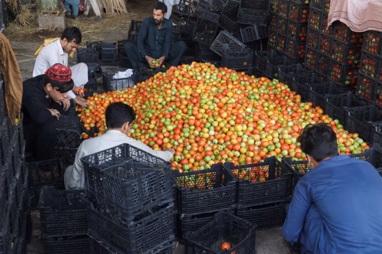 La fermeture des frontières entre le Pakistan et l’Afghanistan fait flamber les prix des produits essentiels (AP)