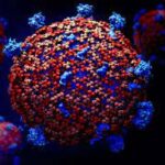 Le Sénégal fait face à une épidémie meurtrière de fièvre de la vallée du Rift avec 17 décès recensés