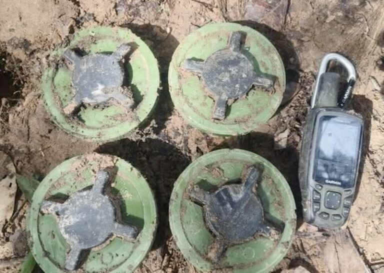 Les mines terrestres à l’origine de l’affrontement entre la Thaïlande et le Cambodge auraient été récemment posées, selon des experts