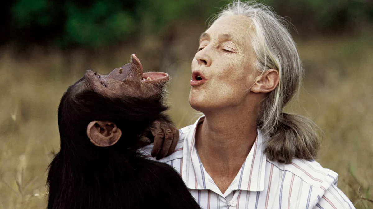 Mort de Jane Goodall - les détails émouvants de ses dernières heures révélés